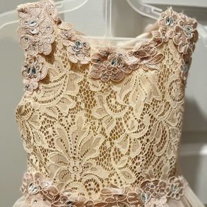 Lace Party Dress